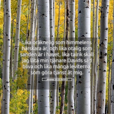 Picture 05 - Jeremia 33:22 SV1917 - Lika oräknelig som himmelens härskara är, och - Bible Verse Picture