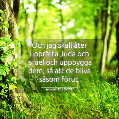 Picture 05 - Jeremia 33:7 SV1917 - Och jag skall åter upprätta Juda och Israel och - Bible Verse Picture