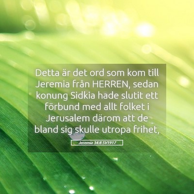 Picture 05 - Jeremia 34:8 SV1917 - Detta är det ord som kom till Jeremia från - Bible Verse Picture