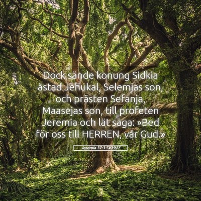 Picture 05 - Jeremia 37:3 SV1917 - Dock sände konung Sidkia åstad Jehukal, - Bible Verse Picture