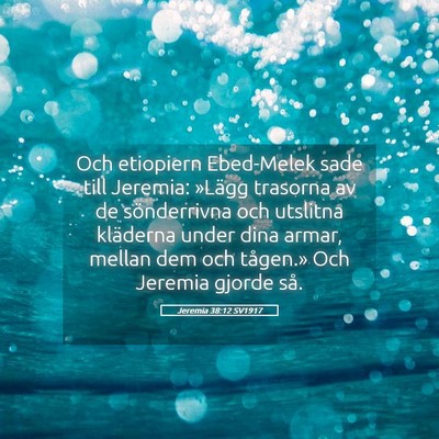 Picture 05 - Jeremia 38:12 SV1917 - Och etiopiern Ebed-Melek sade till Jeremia: - Bible Verse Picture