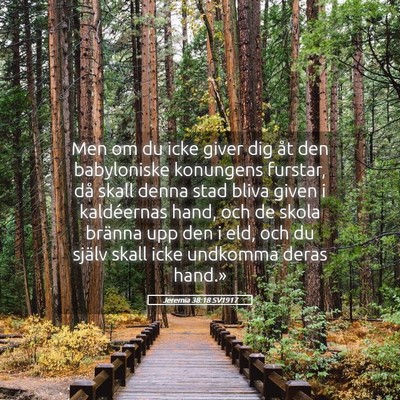 Picture 05 - Jeremia 38:18 SV1917 - Men om du icke giver dig åt den babyloniske - Bible Verse Picture
