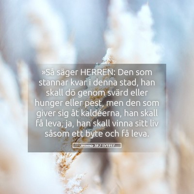 Picture 05 - Jeremia 38:2 SV1917 - »Så säger HERREN: Den som stannar kvar i denna - Bible Verse Picture