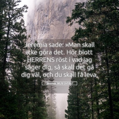 Picture 05 - Jeremia 38:20 SV1917 - Jeremia sade: »Man skall icke göra det. Hör - Bible Verse Picture