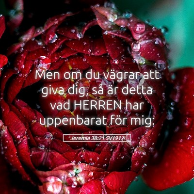 Picture 05 - Jeremia 38:21 SV1917 - Men om du vägrar att giva dig, så är detta vad - Bible Verse Picture