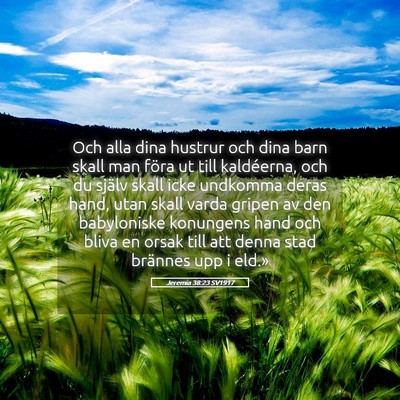 Picture 05 - Jeremia 38:23 SV1917 - Och alla dina hustrur och dina barn skall man - Bible Verse Picture