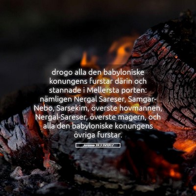 Picture 05 - Jeremia 39:3 SV1917 - drogo alla den babyloniske konungens furstar - Bible Verse Picture