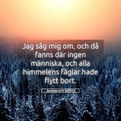 Picture 05 - Jeremia 4:25 SV1917 - Jag såg mig om, och då fanns där ingen - Bible Verse Picture