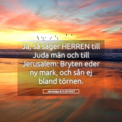 Picture 05 - Jeremia 4:3 SV1917 - Ja, så säger HERREN till Juda män och till - Bible Verse Picture