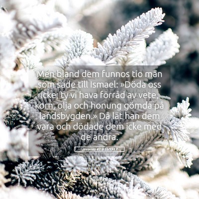 Picture 05 - Jeremia 41:8 SV1917 - Men bland dem funnos tio män som sade till - Bible Verse Picture