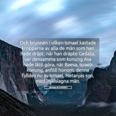 Picture 05 - Jeremia 41:9 SV1917 - Och brunnen i vilken Ismael kastade kropparna av - Bible Verse Picture