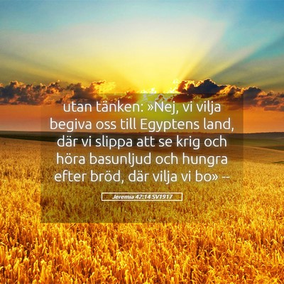 Picture 05 - Jeremia 42:14 SV1917 - utan tänken: »Nej, vi vilja begiva oss till - Bible Verse Picture