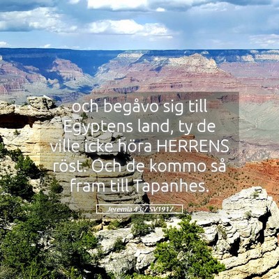 Picture 05 - Jeremia 43:7 SV1917 - och begåvo sig till Egyptens land, ty de ville - Bible Verse Picture