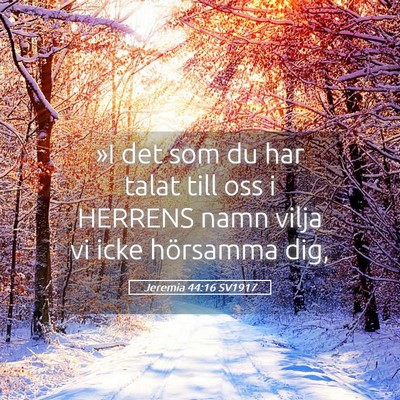 Picture 05 - Jeremia 44:16 SV1917 - »I det som du har talat till oss i HERRENS namn - Bible Verse Picture