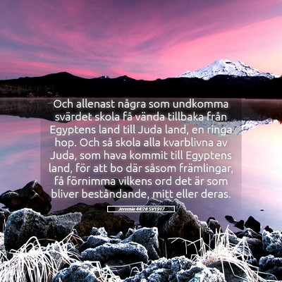 Picture 05 - Jeremia 44:28 SV1917 - Och allenast några som undkomma svärdet skola - Bible Verse Picture