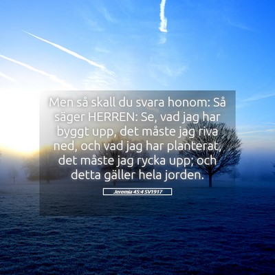 Picture 05 - Jeremia 45:4 SV1917 - Men så skall du svara honom: Så säger HERREN: - Bible Verse Picture