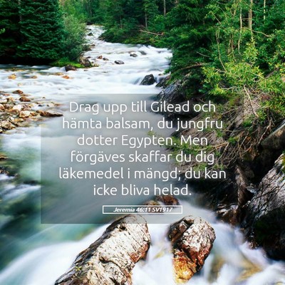Picture 05 - Jeremia 46:11 SV1917 - Drag upp till Gilead och hämta balsam, du - Bible Verse Picture