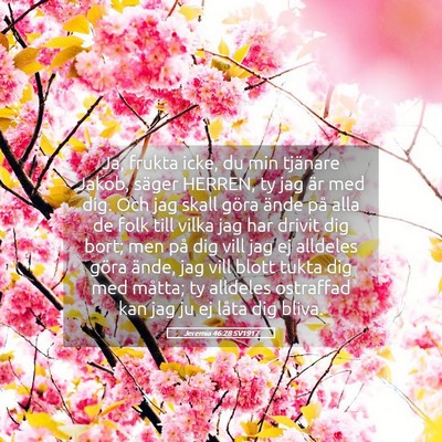 Picture 05 - Jeremia 46:28 SV1917 - Ja, frukta icke, du min tjänare Jakob, säger - Bible Verse Picture
