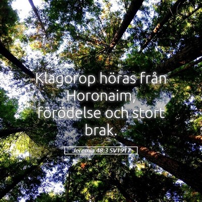 Picture 05 - Jeremia 48:3 SV1917 - Klagorop höras från Horonaim, förödelse och - Bible Verse Picture