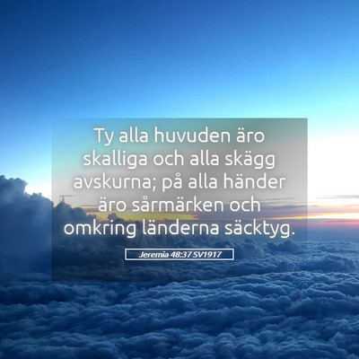 Picture 05 - Jeremia 48:37 SV1917 - Ty alla huvuden äro skalliga och alla skägg - Bible Verse Picture