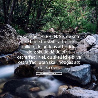 Picture 05 - Jeremia 49:12 SV1917 - Ty så säger HERREN: Se, de som icke hade - Bible Verse Picture