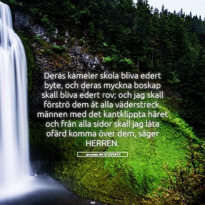 Picture 05 - Jeremia 49:32 SV1917 - Deras kameler skola bliva edert byte, och deras - Bible Verse Picture