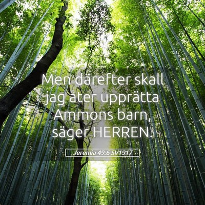 Picture 05 - Jeremia 49:6 SV1917 - Men därefter skall jag åter upprätta Ammons - Bible Verse Picture
