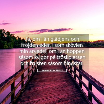 Picture 05 - Jeremia 50:11 SV1917 - Ja, om I än glädjens och fröjden eder, I som - Bible Verse Picture