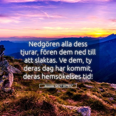 Picture 05 - Jeremia 50:27 SV1917 - Nedgören alla dess tjurar, fören dem ned till - Bible Verse Picture