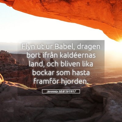 Picture 05 - Jeremia 50:8 SV1917 - Flyn ut ur Babel, dragen bort ifrån kaldéernas - Bible Verse Picture