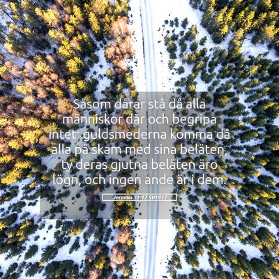 Picture 05 - Jeremia 51:17 SV1917 - Såsom dårar stå då alla människor där och - Bible Verse Picture
