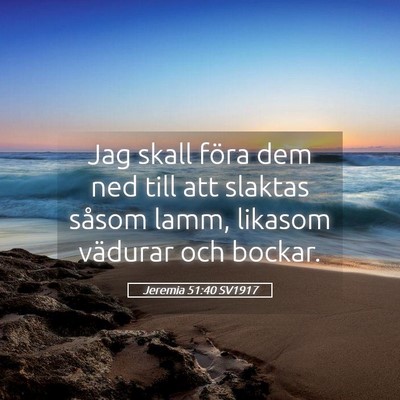 Picture 05 - Jeremia 51:40 SV1917 - Jag skall föra dem ned till att slaktas såsom - Bible Verse Picture