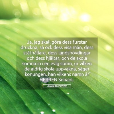Picture 05 - Jeremia 51:57 SV1917 - Ja, jag skall göra dess furstar druckna, så ock - Bible Verse Picture