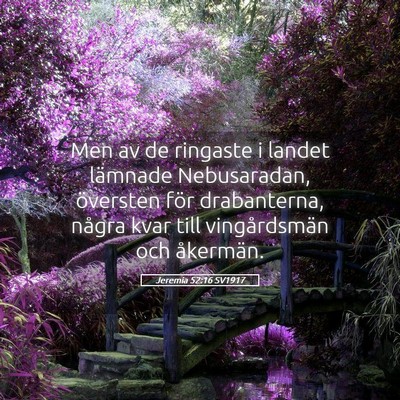 Picture 05 - Jeremia 52:16 SV1917 - Men av de ringaste i landet lämnade Nebusaradan, - Bible Verse Picture