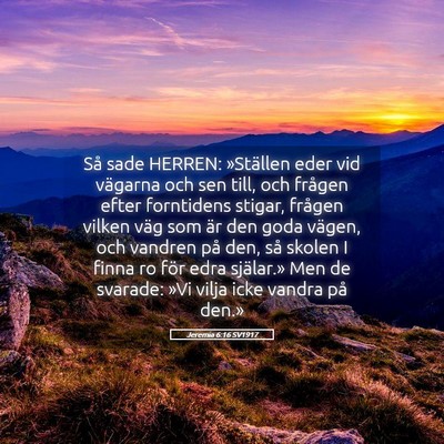 Picture 05 - Jeremia 6:16 SV1917 - Så sade HERREN: »Ställen eder vid vägarna och - Bible Verse Picture
