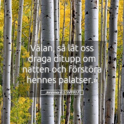 Picture 05 - Jeremia 6:5 SV1917 - Välan, så låt oss draga ditupp om natten och - Bible Verse Picture