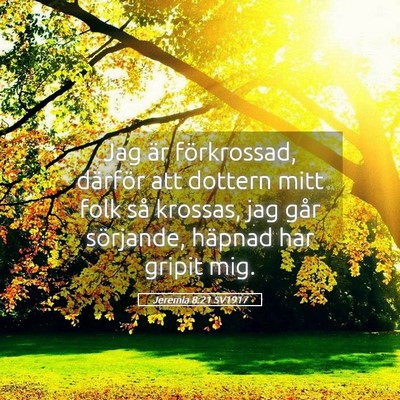 Picture 05 - Jeremia 8:21 SV1917 - Jag är förkrossad, därför att dottern mitt - Bible Verse Picture
