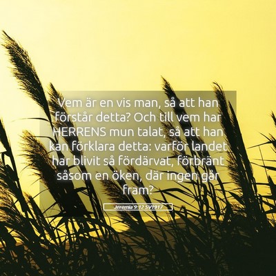 Picture 05 - Jeremia 9:12 SV1917 - Vem är en vis man, så att han förstår detta? - Bible Verse Picture