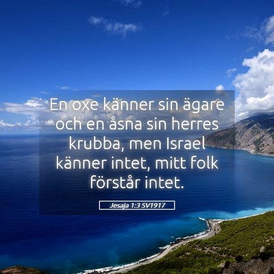 Picture 05 - Jesaja 1:3 SV1917 - En oxe känner sin ägare och en åsna sin herres - Bible Verse Picture