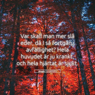 Picture 05 - Jesaja 1:5 SV1917 - Var skall man mer slå eder, då I så fortgån i - Bible Verse Picture