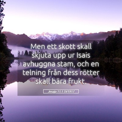 Picture 05 - Jesaja 11:1 SV1917 - Men ett skott skall skjuta upp ur Isais avhuggna - Bible Verse Picture