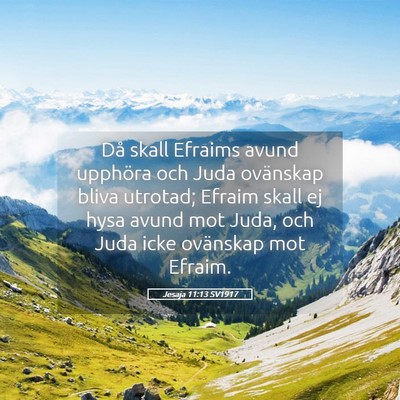 Picture 05 - Jesaja 11:13 SV1917 - Då skall Efraims avund upphöra och Juda - Bible Verse Picture