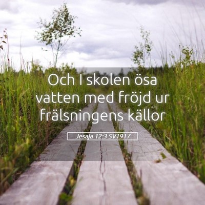 Picture 05 - Jesaja 12:3 SV1917 - Och I skolen ösa vatten med fröjd ur - Bible Verse Picture