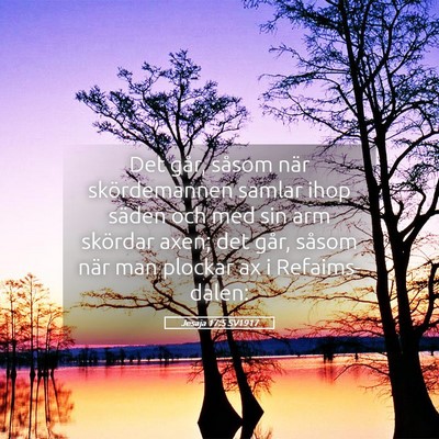 Picture 05 - Jesaja 17:5 SV1917 - Det går, såsom när skördemannen samlar ihop - Bible Verse Picture
