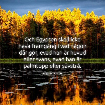 Picture 05 - Jesaja 19:15 SV1917 - Och Egypten skall icke hava framgång i vad - Bible Verse Picture