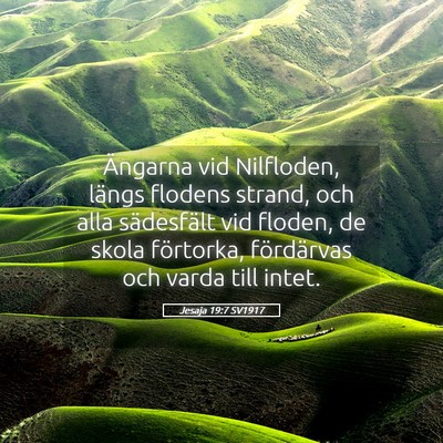 Picture 05 - Jesaja 19:7 SV1917 - Ängarna vid Nilfloden, längs flodens strand, - Bible Verse Picture
