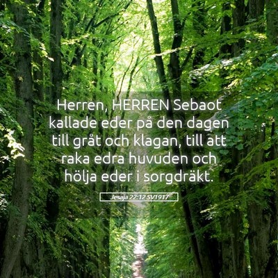 Picture 05 - Jesaja 22:12 SV1917 - Herren, HERREN Sebaot kallade eder på den dagen - Bible Verse Picture