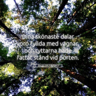 Picture 05 - Jesaja 22:7 SV1917 - Dina skönaste dalar voro fyllda med vagnar, och - Bible Verse Picture