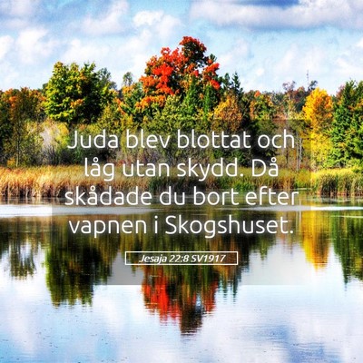 Picture 05 - Jesaja 22:8 SV1917 - Juda blev blottat och låg utan skydd. Då - Bible Verse Picture
