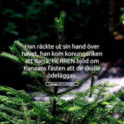 Picture 05 - Jesaja 23:11 SV1917 - Han räckte ut sin hand över havet, han kom - Bible Verse Picture